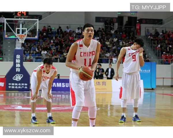 杭州篮球队深度解析：球员个人能力与团队协作的完美结合