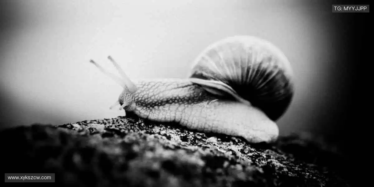 🎁潮酷周边，把热爱穿在身上！